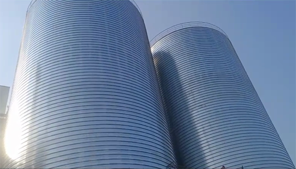 武都2座混凝土高架卷板仓